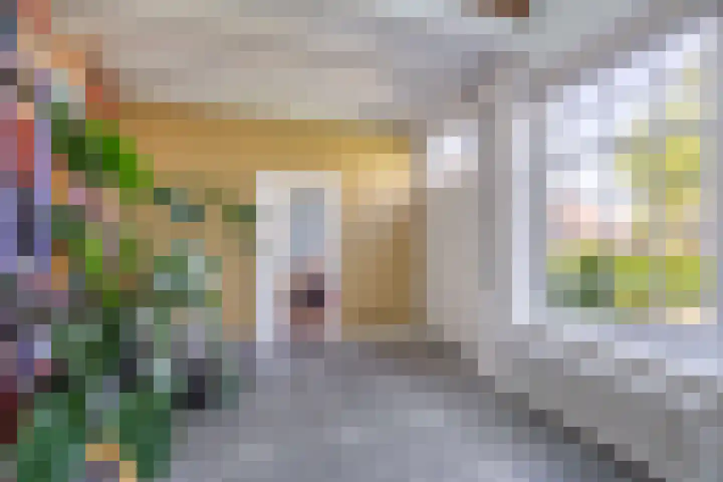 Grinsel 28 Den Dungen thumbnail 11