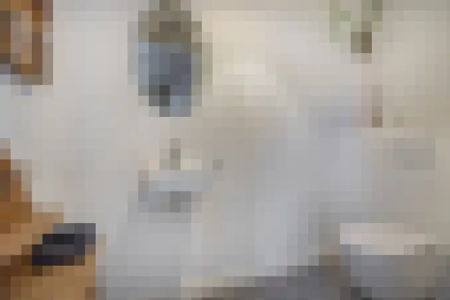 Grinsel 28 Den Dungen thumbnail 12