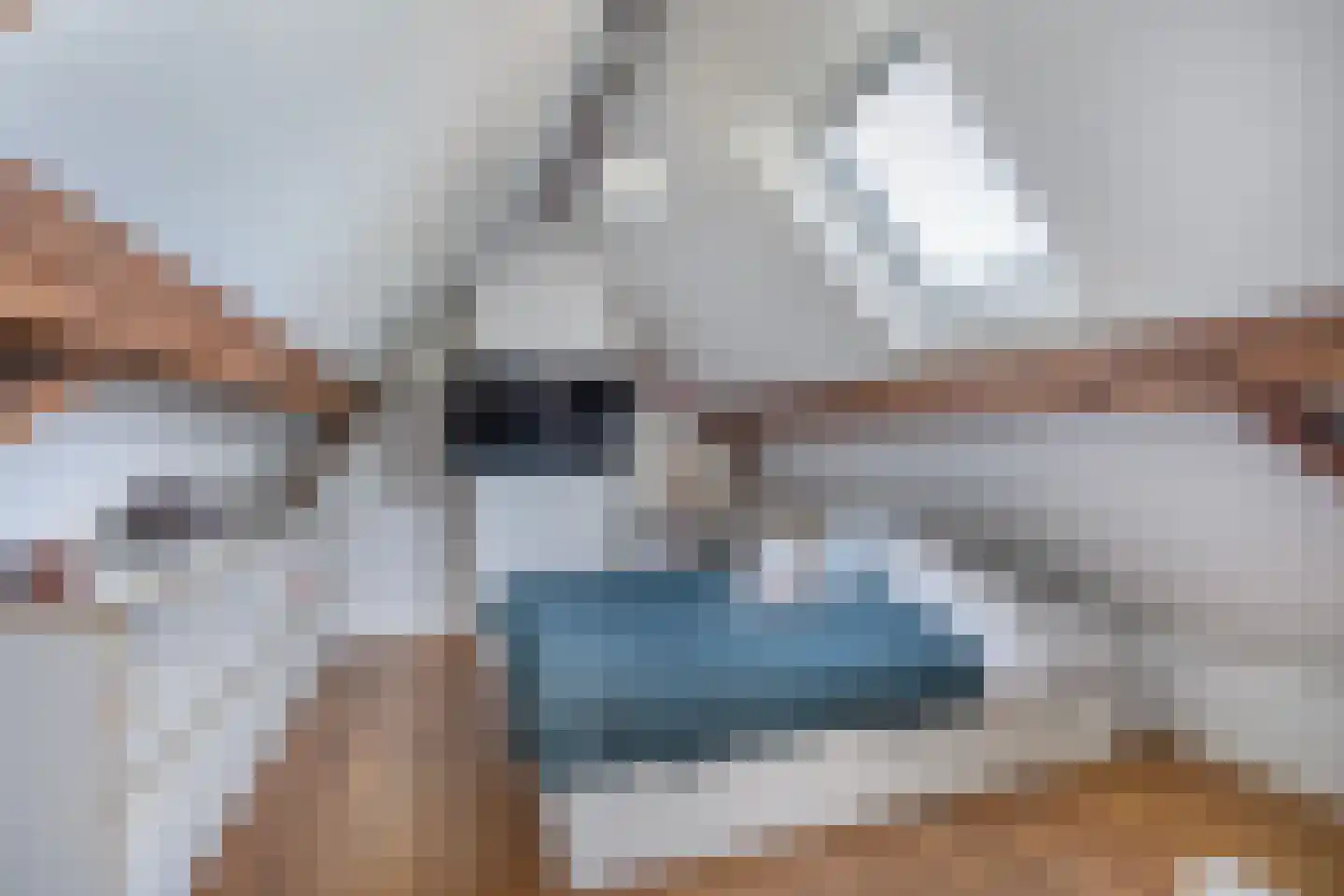 Grinsel 28 Den Dungen thumbnail 17