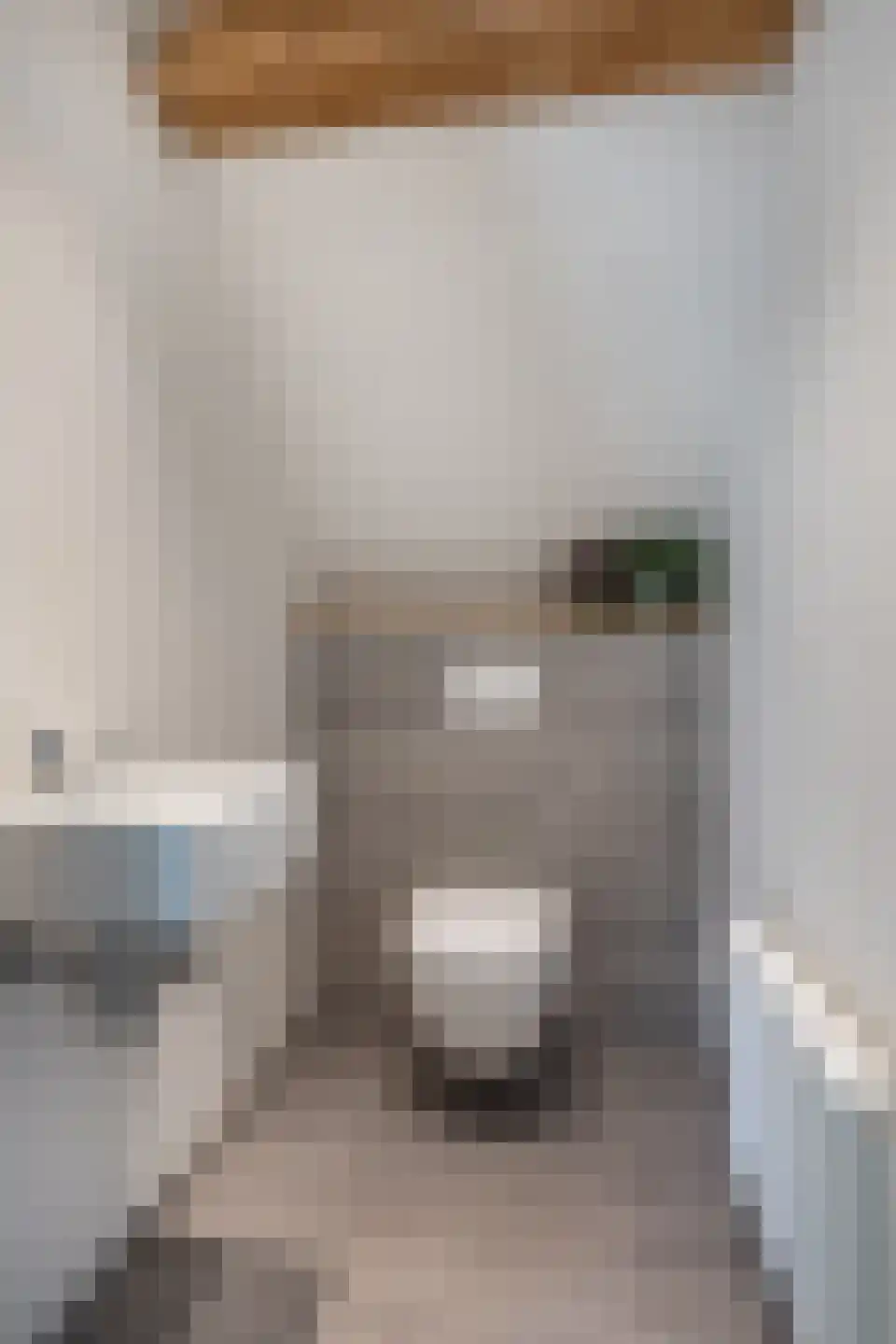 Grinsel 28 Den Dungen thumbnail 22