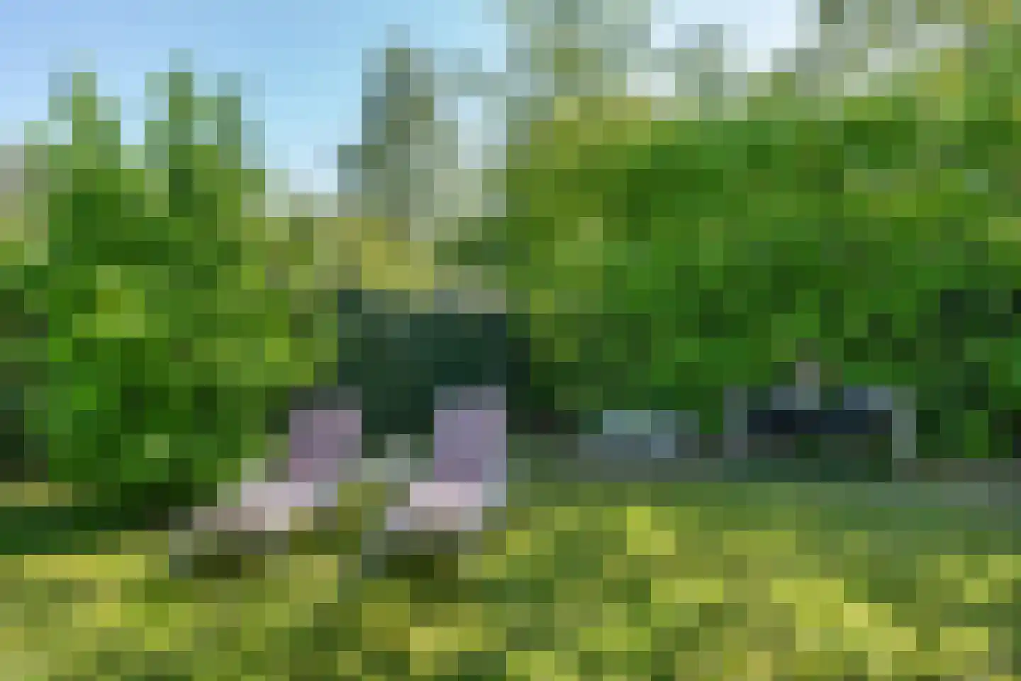 Grinsel 28 Den Dungen thumbnail 32