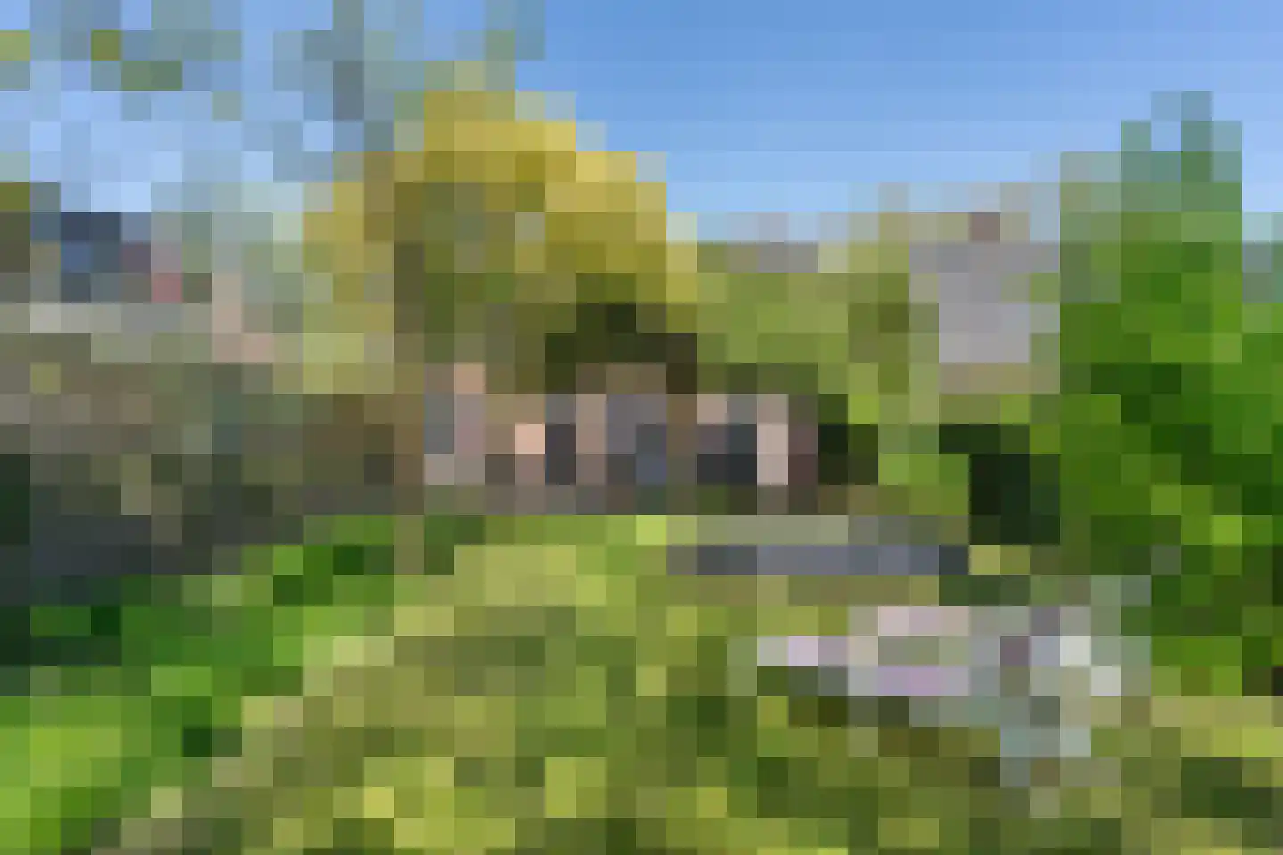 Grinsel 28 Den Dungen thumbnail 33