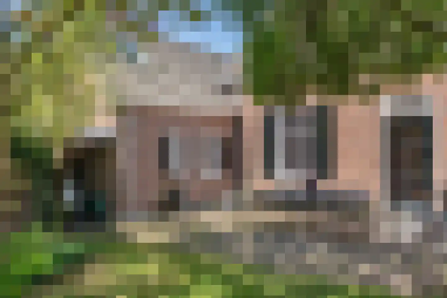 Grinsel 28 Den Dungen thumbnail 34