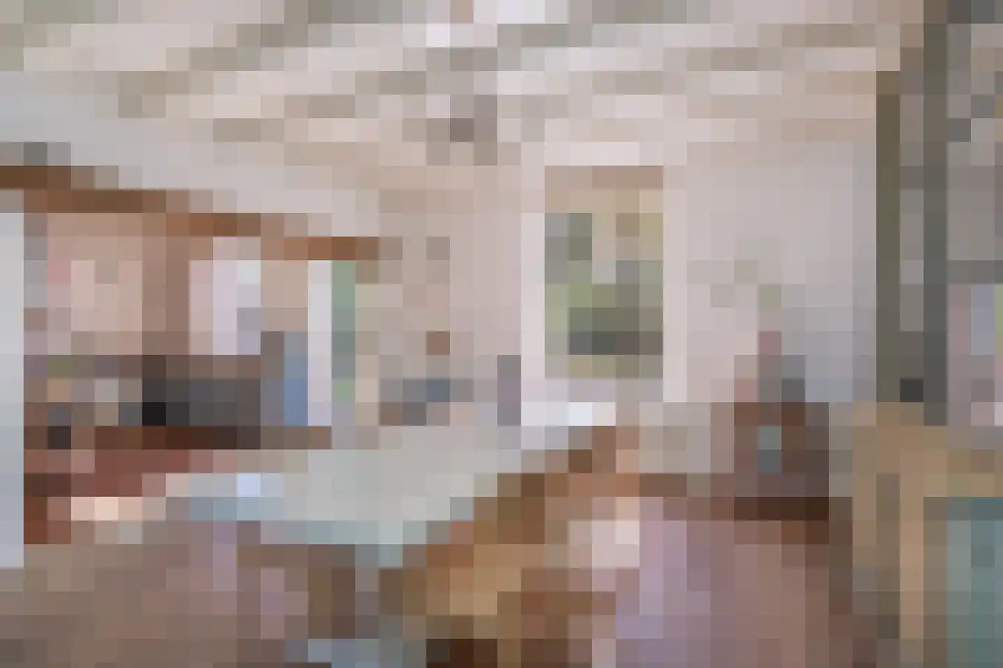 Grinsel 28 Den Dungen thumbnail 6