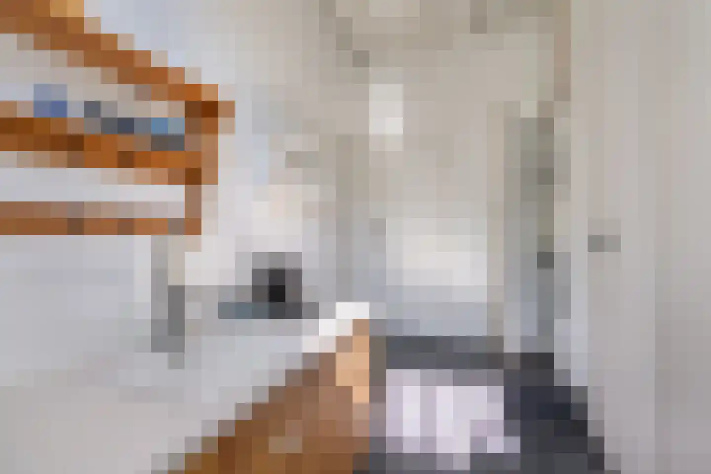 Grinsel 28 Den Dungen thumbnail 9