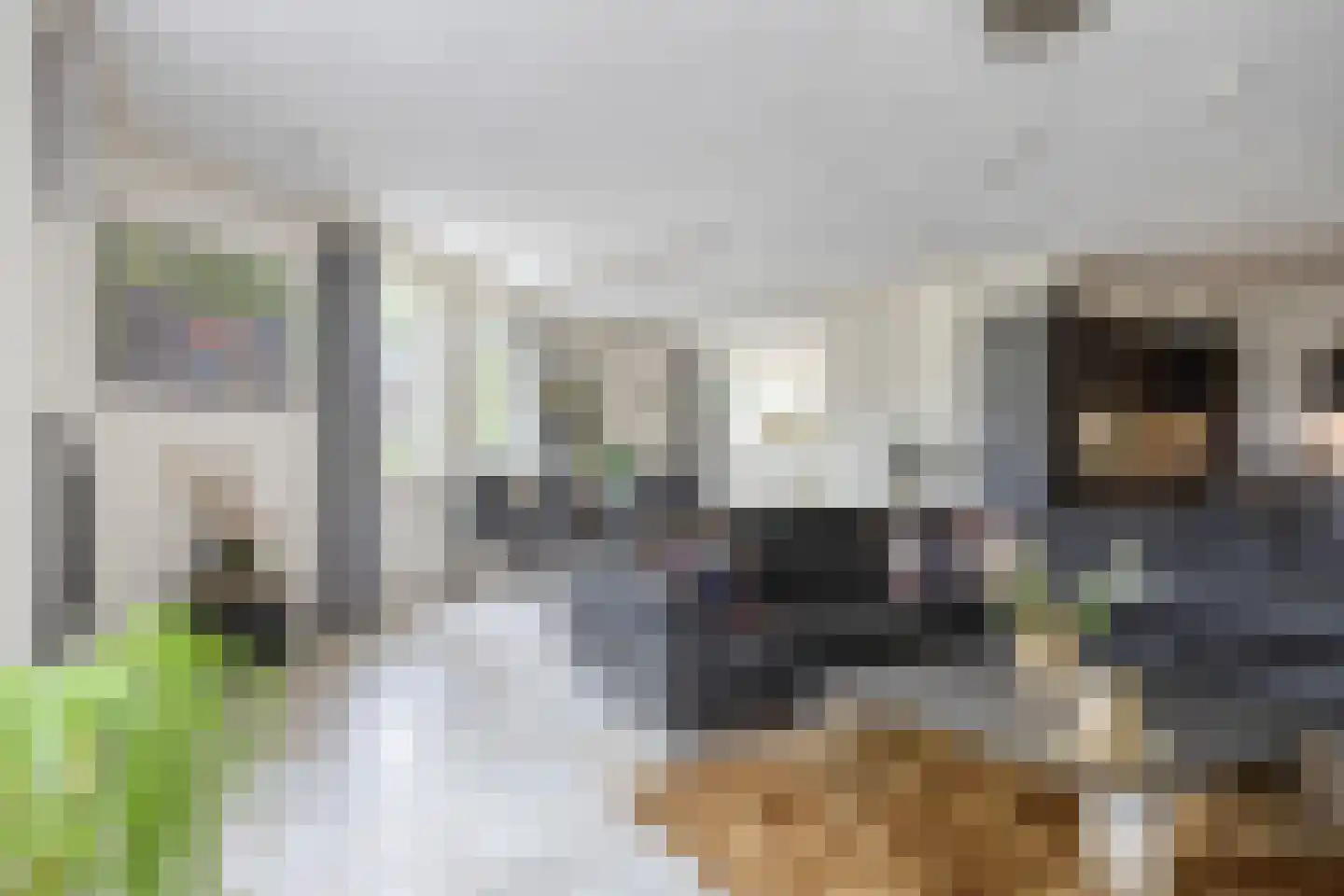 Grinsel 30 Den Dungen thumbnail 10