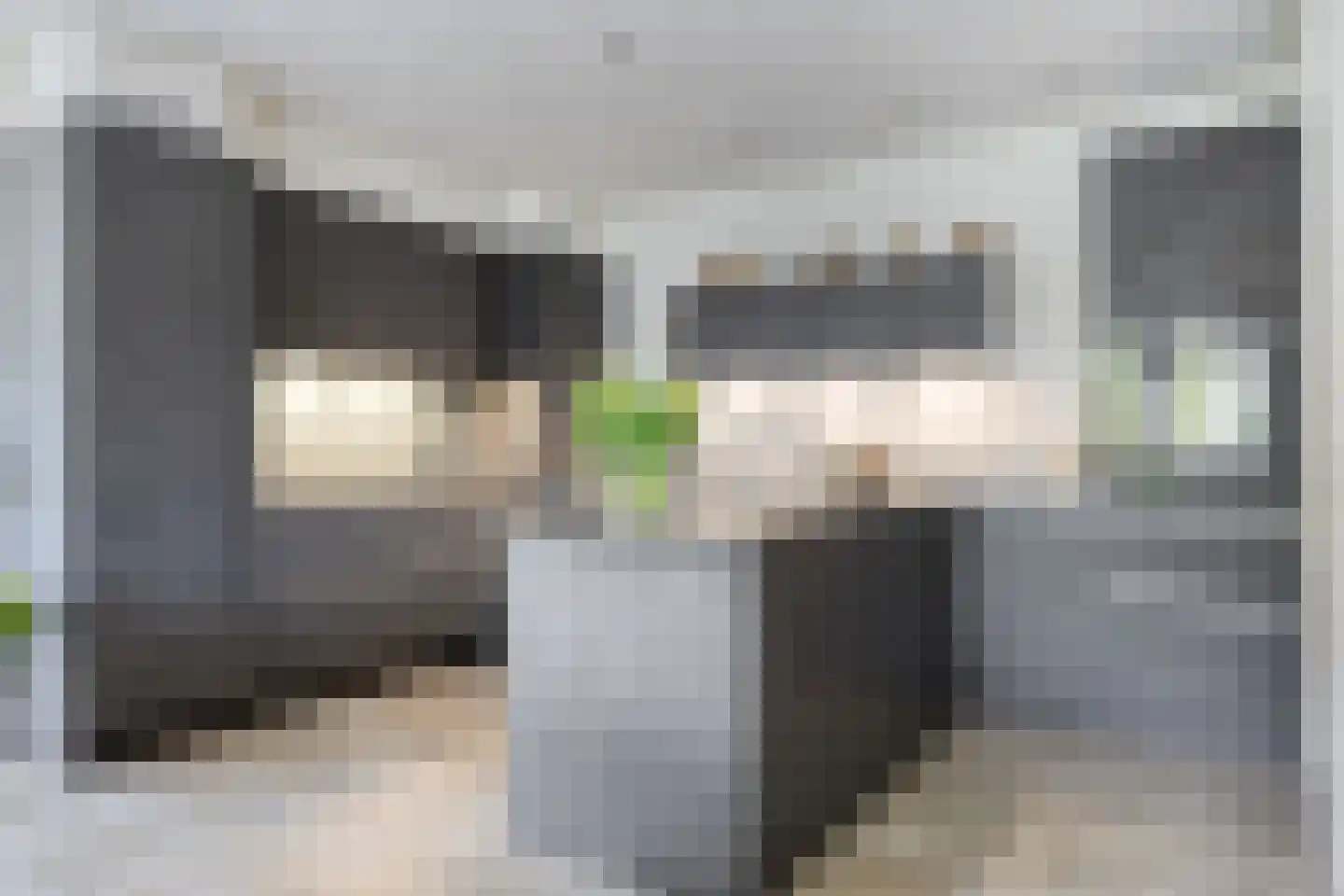 Grinsel 30 Den Dungen thumbnail 21