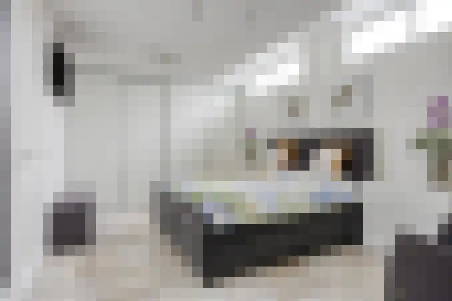 Grinsel 30 Den Dungen thumbnail 32
