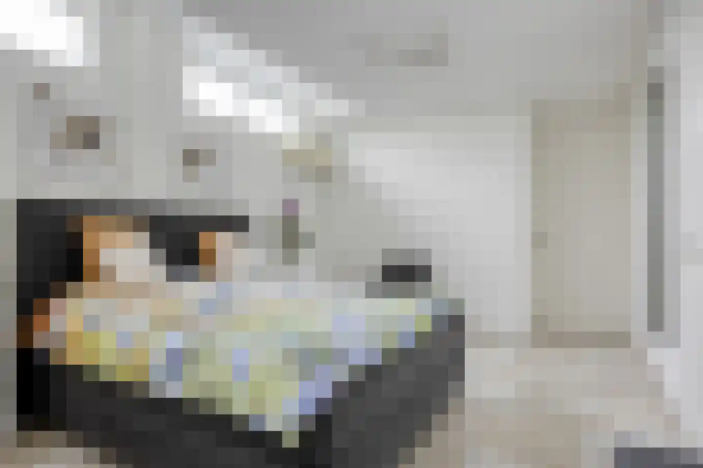 Grinsel 30 Den Dungen thumbnail 33