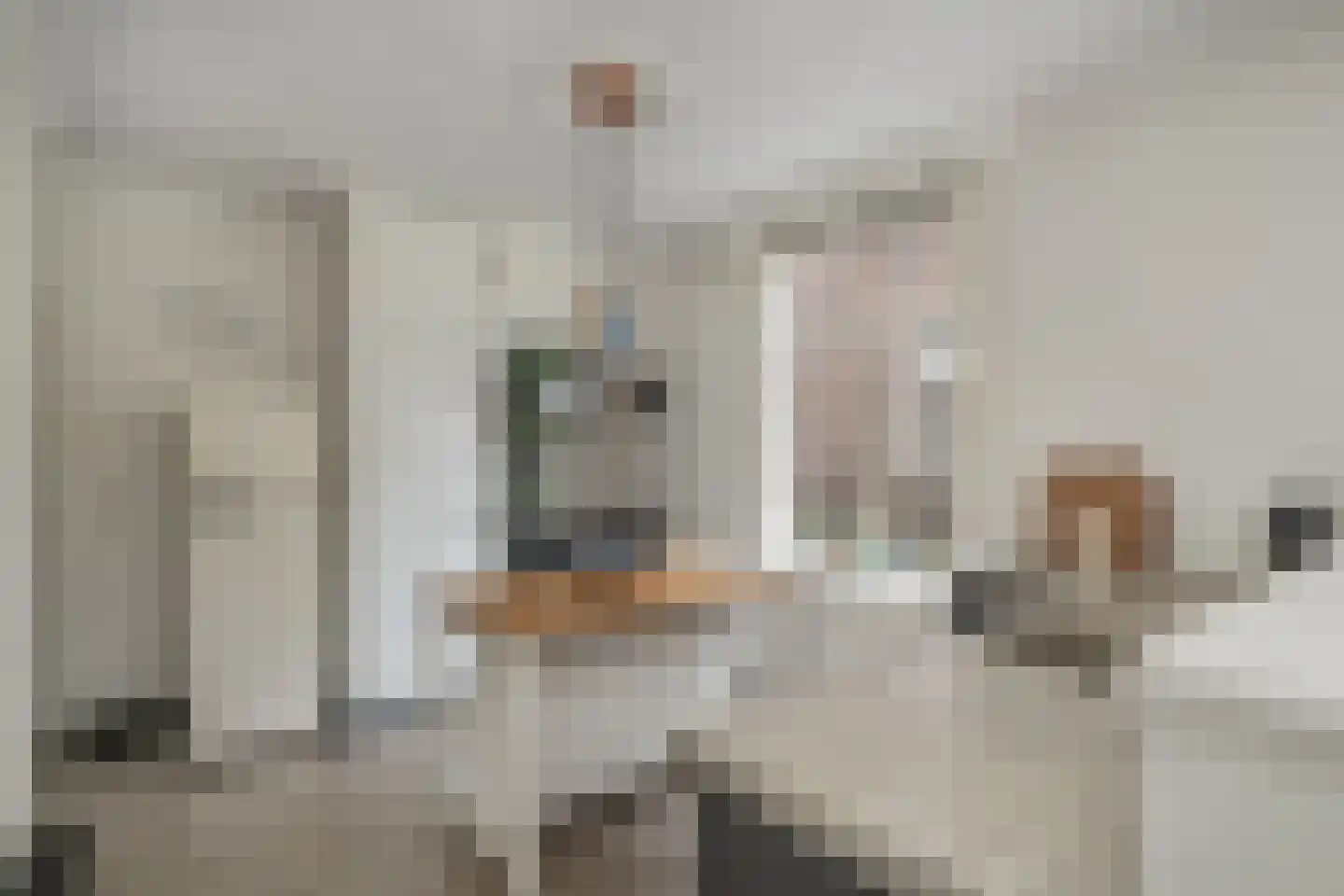 Grinsel 31 Den Dungen thumbnail 12
