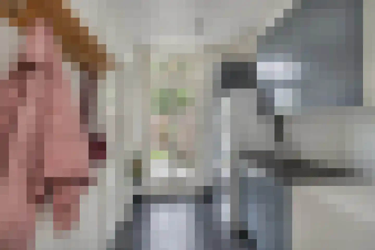 Grinsel 31 Den Dungen thumbnail 18