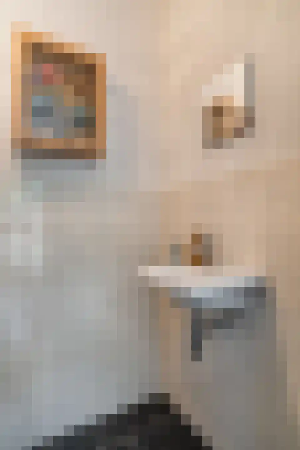 Grinsel 31 Den Dungen thumbnail 19