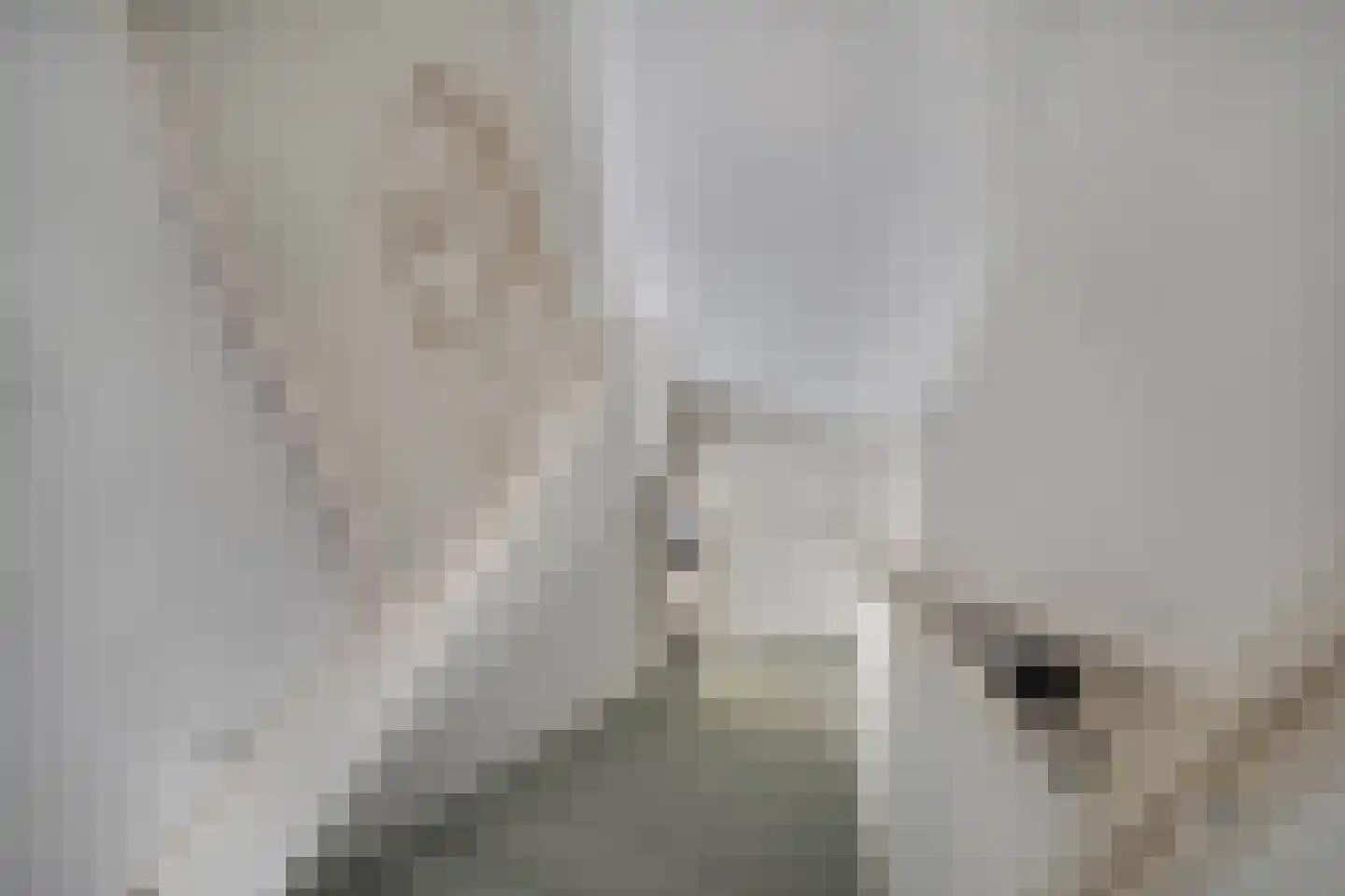 Grinsel 31 Den Dungen thumbnail 21