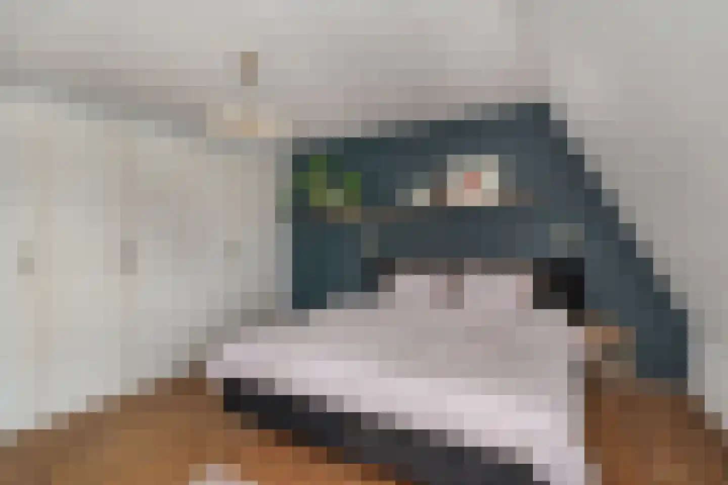 Grinsel 31 Den Dungen thumbnail 23