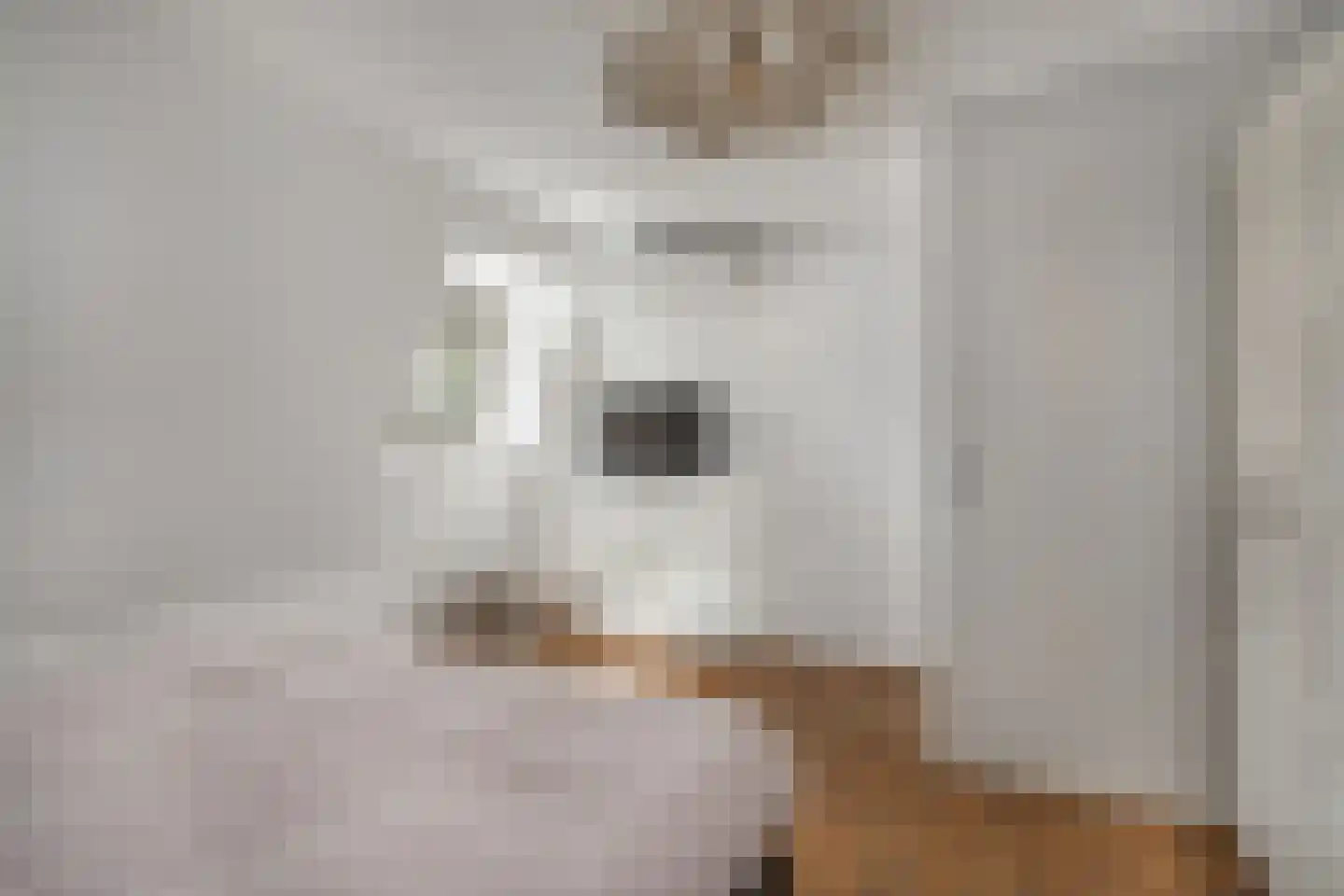 Grinsel 31 Den Dungen thumbnail 24