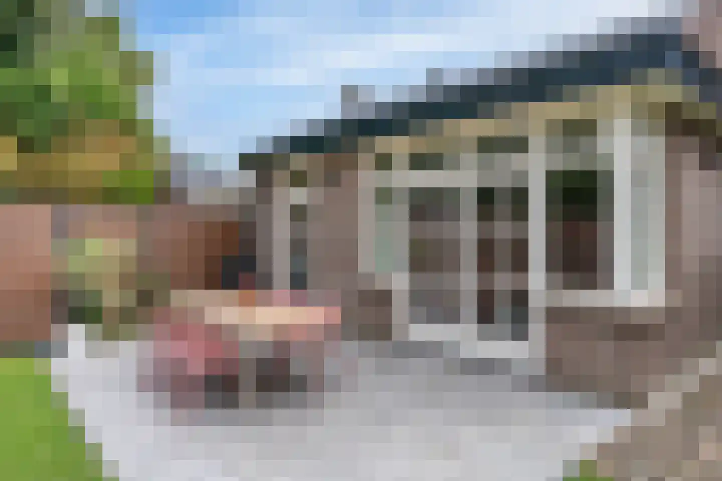 Grinsel 31 Den Dungen thumbnail 31