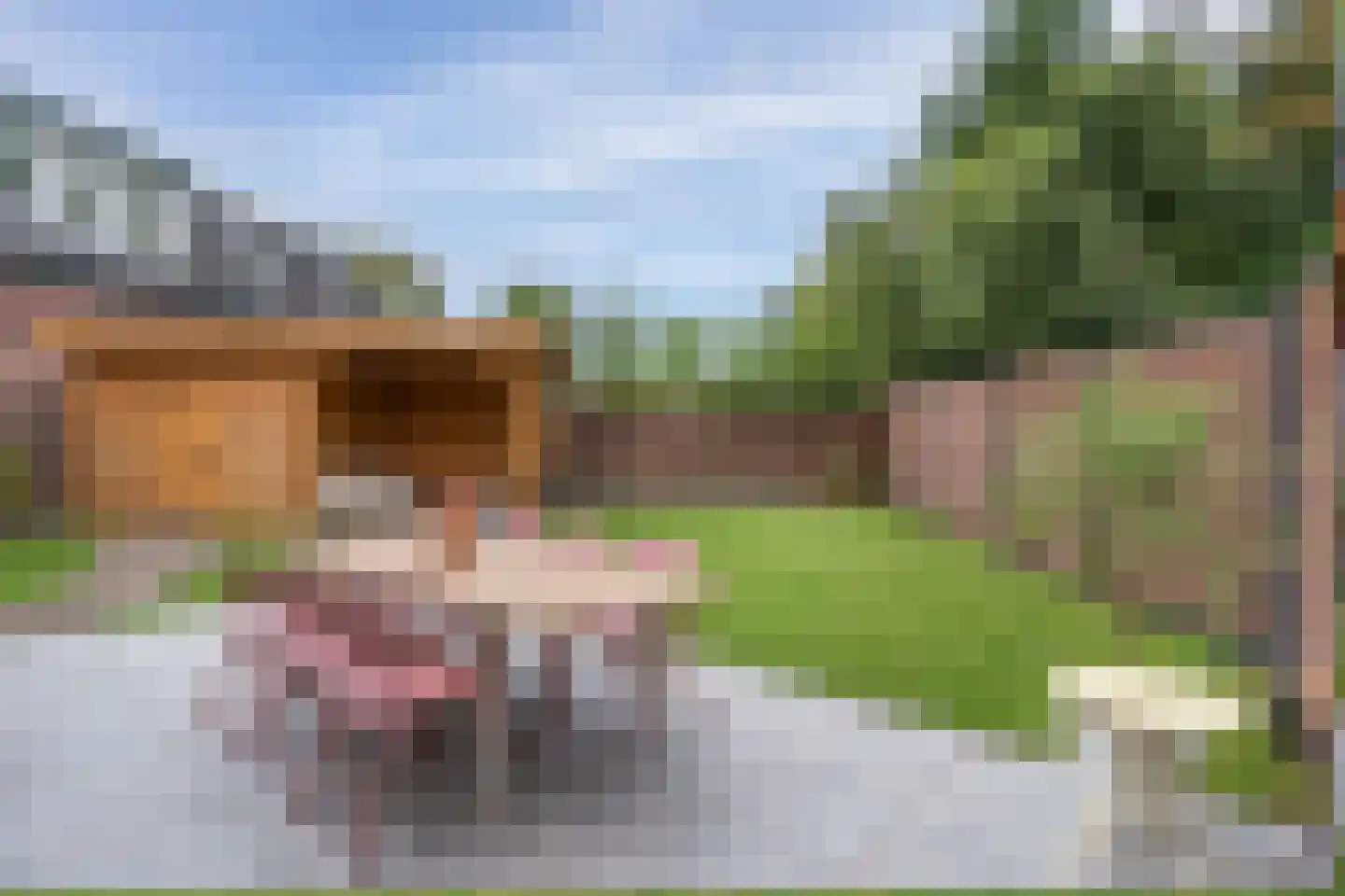 Grinsel 31 Den Dungen thumbnail 32