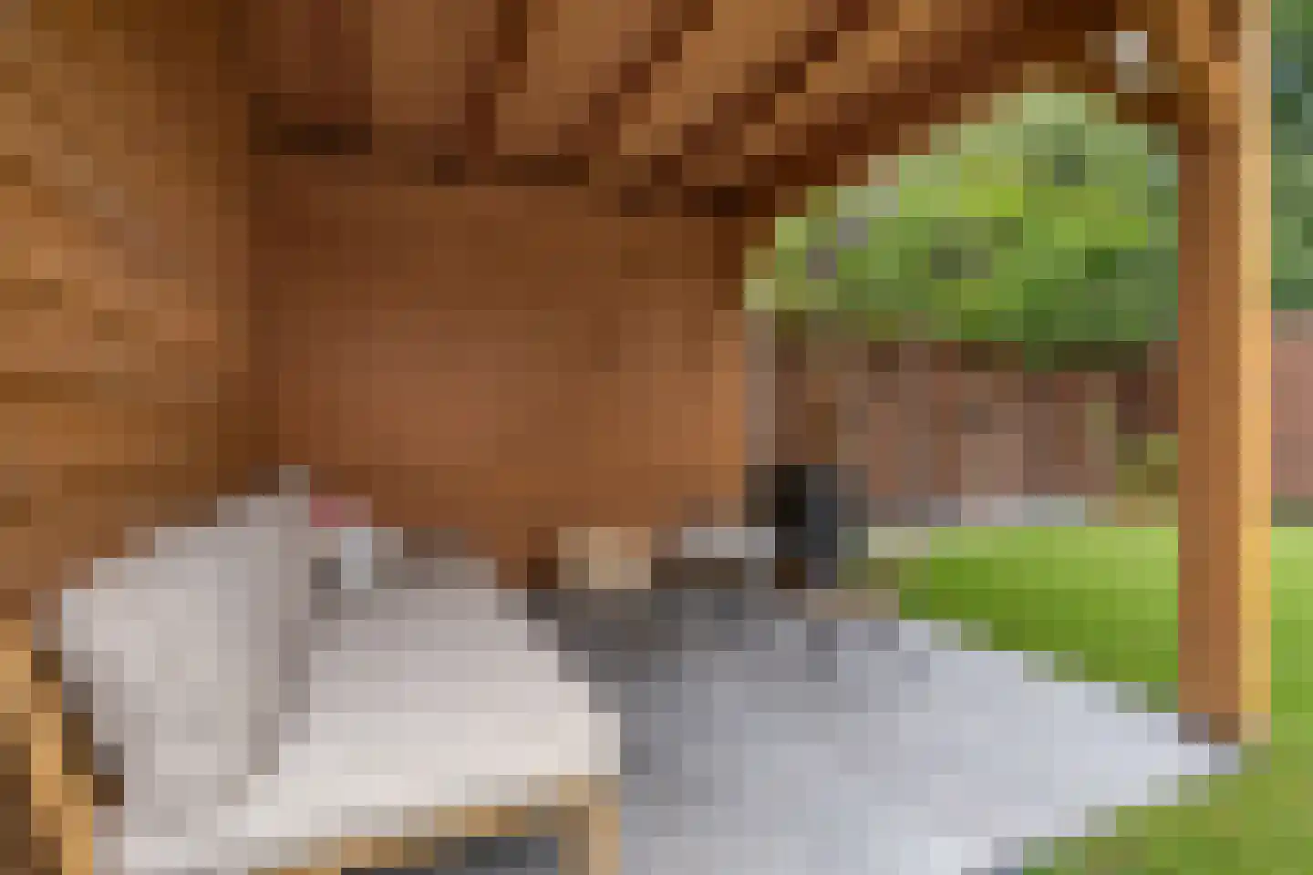 Grinsel 31 Den Dungen thumbnail 36