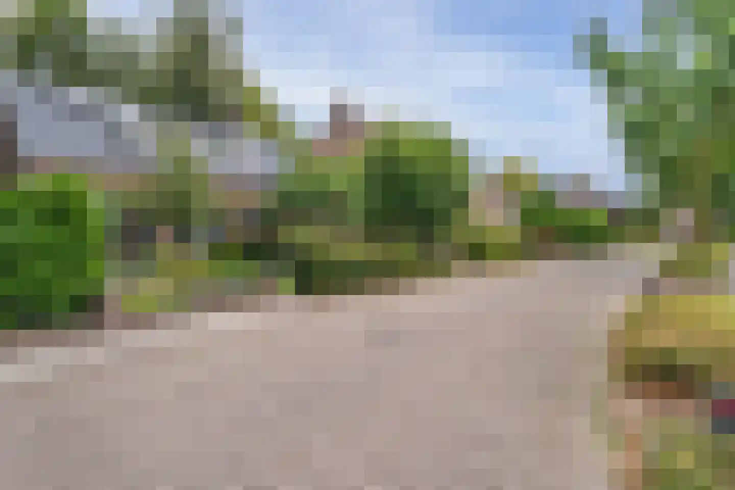 Grinsel 31 Den Dungen thumbnail 40
