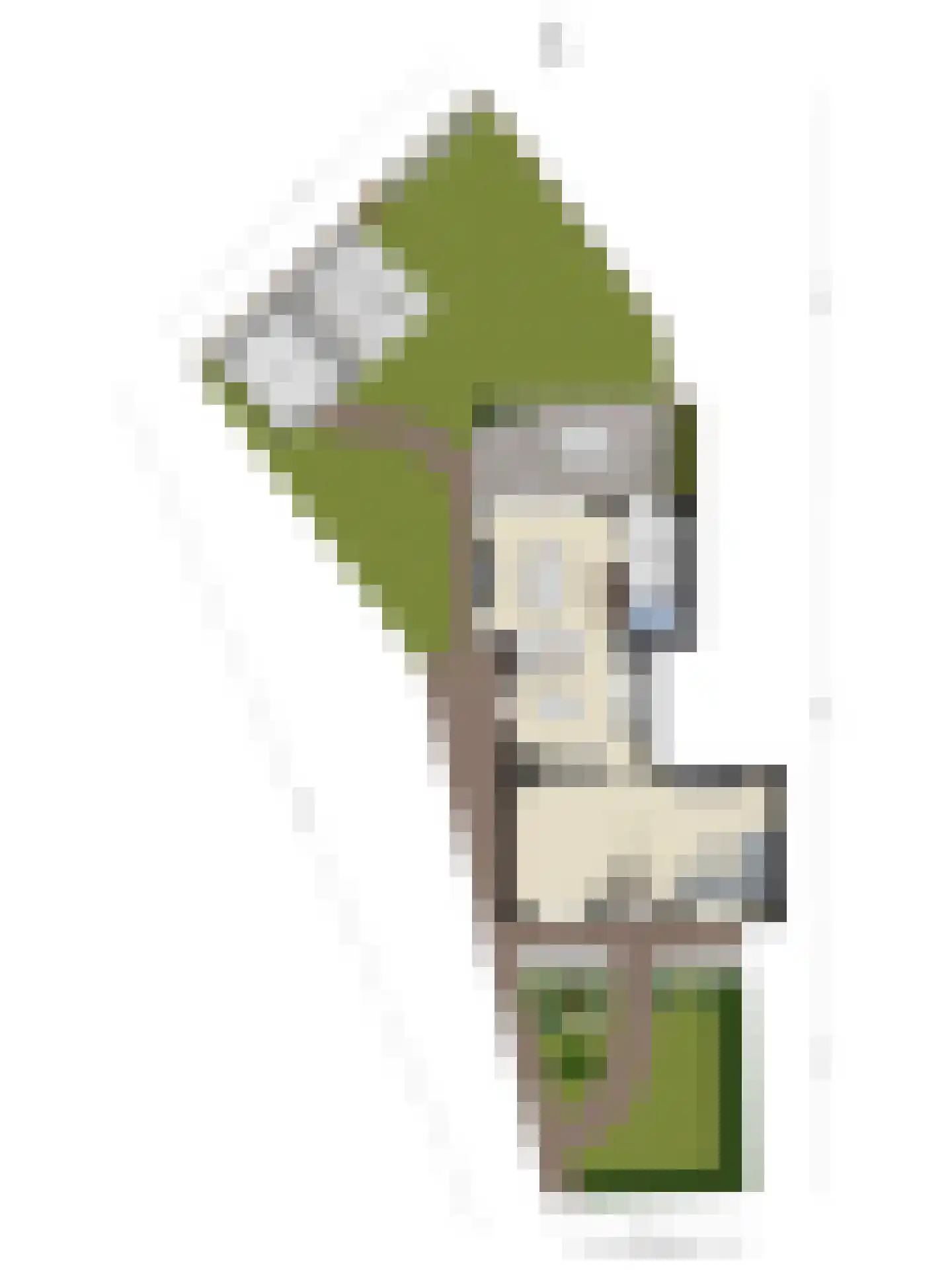 Grinsel 31 Den Dungen thumbnail 46