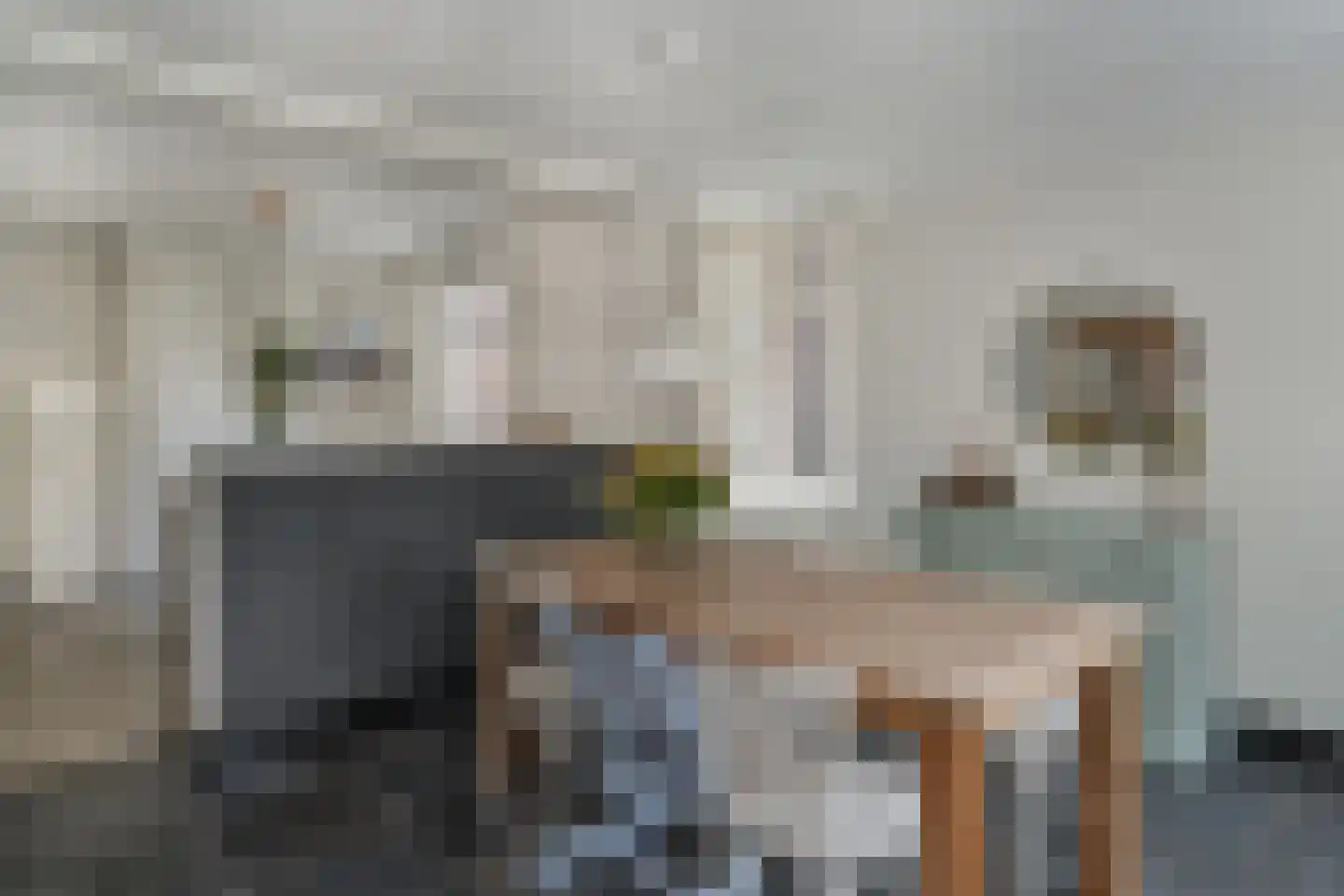 Grinsel 31 Den Dungen thumbnail 8