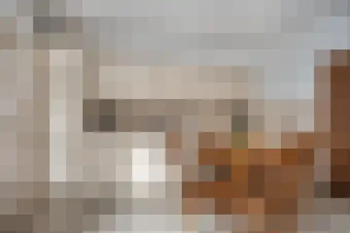 Grinsel 74 A Sint-Michielsgestel thumbnail 10