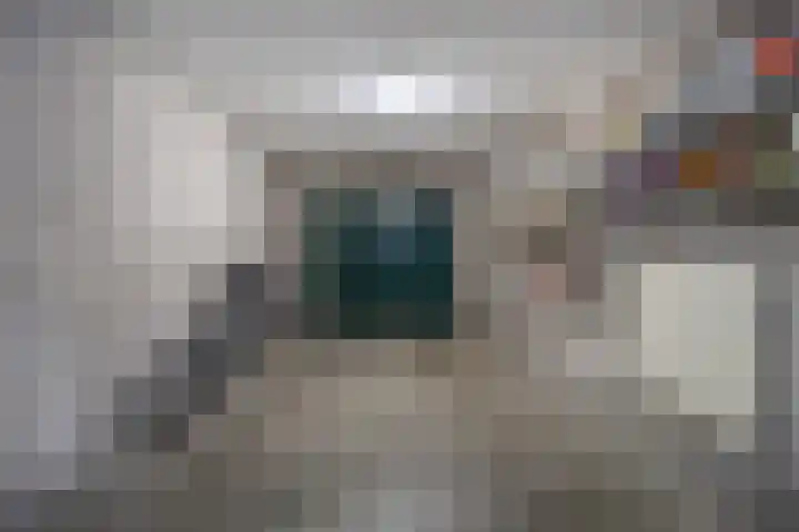 Grinsel 74 A Sint-Michielsgestel thumbnail 13
