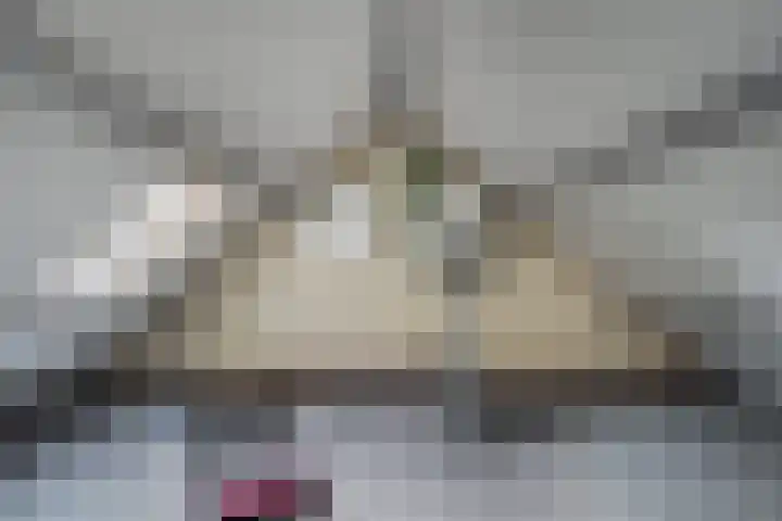 Grinsel 74 A Sint-Michielsgestel thumbnail 17