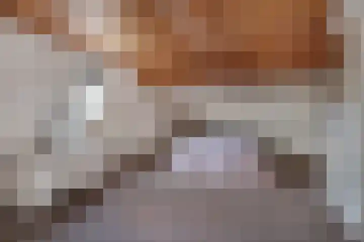 Grinsel 74 A Sint-Michielsgestel thumbnail 24