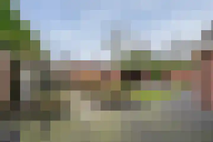 Grinsel 74 A Sint-Michielsgestel thumbnail 25