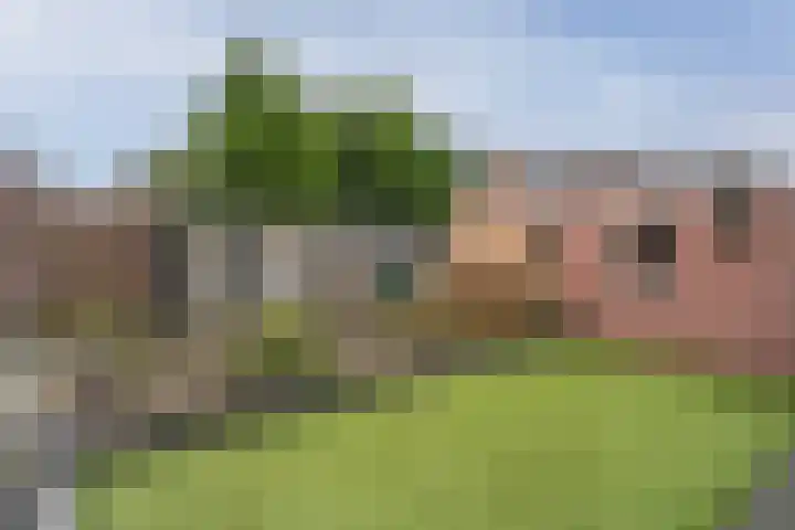 Grinsel 74 A Sint-Michielsgestel thumbnail 27