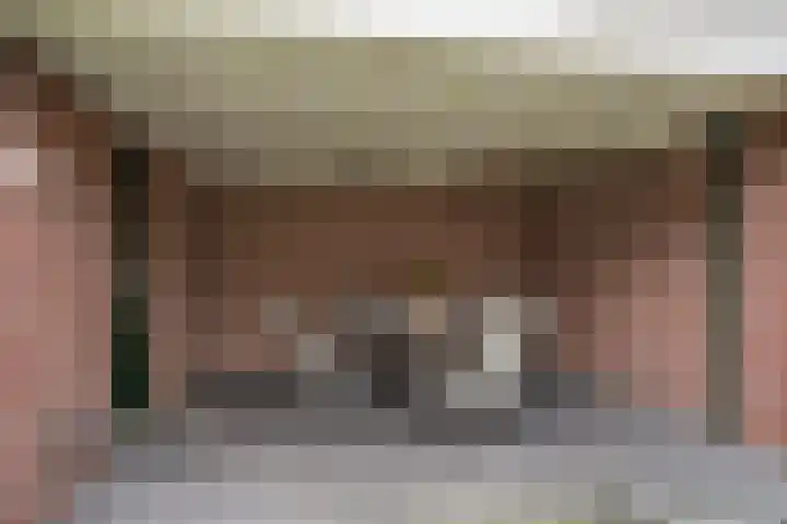 Grinsel 74 A Sint-Michielsgestel thumbnail 28