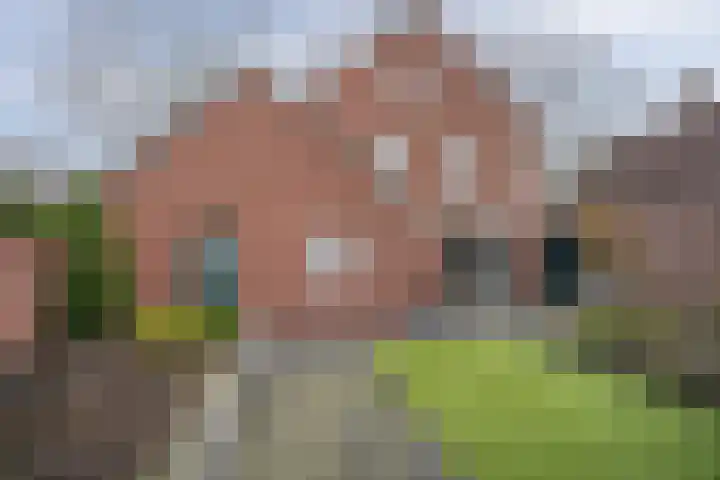 Grinsel 74 A Sint-Michielsgestel thumbnail 29