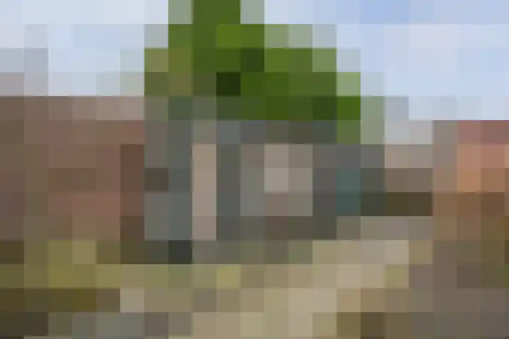 Grinsel 74 A Sint-Michielsgestel thumbnail 30