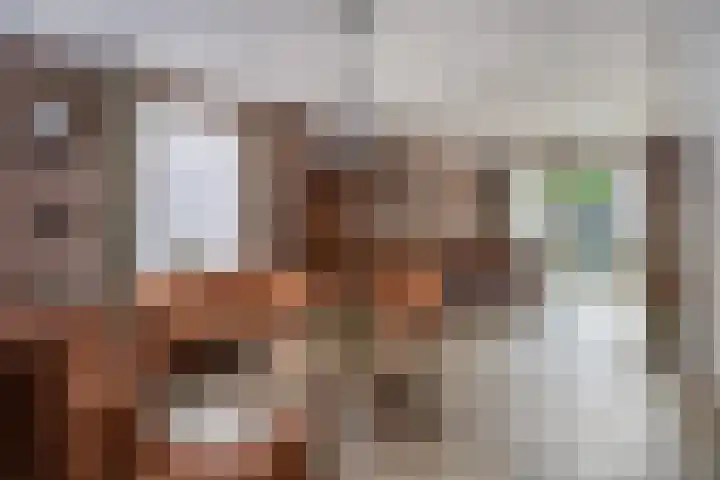 Grinsel 74 A Sint-Michielsgestel thumbnail 6