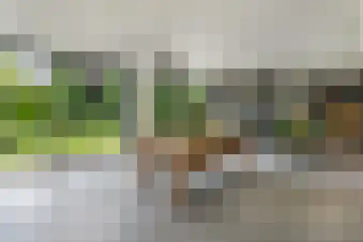 Grinsel 83 A Den Dungen thumbnail 10