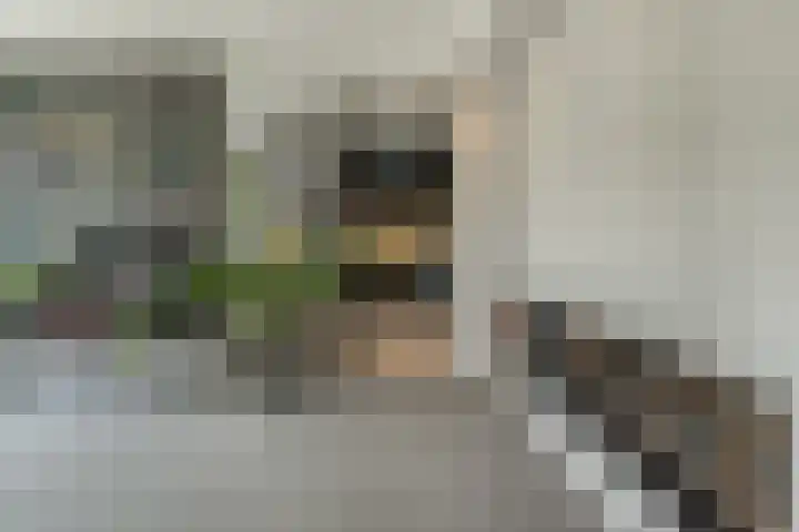 Grinsel 83 A Den Dungen thumbnail 11