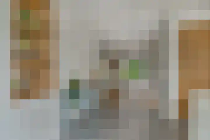Grinsel 83 A Den Dungen thumbnail 13