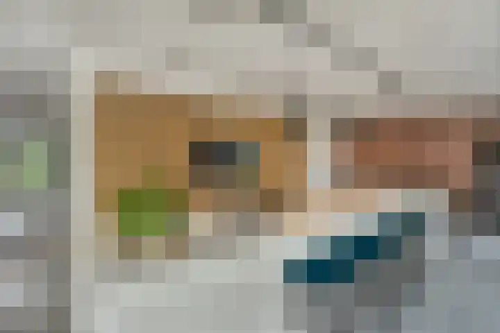 Grinsel 83 A Den Dungen thumbnail 14