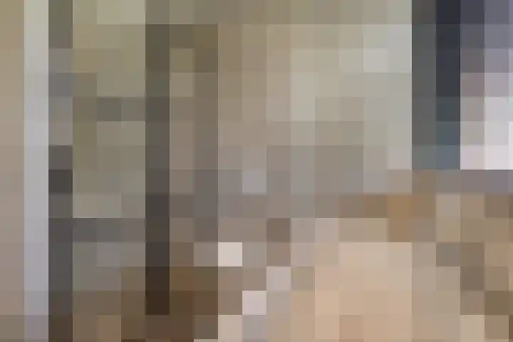 Grinsel 83 A Den Dungen thumbnail 20