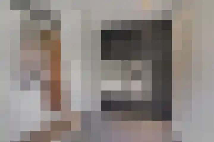 Grinsel 83 A Den Dungen thumbnail 23