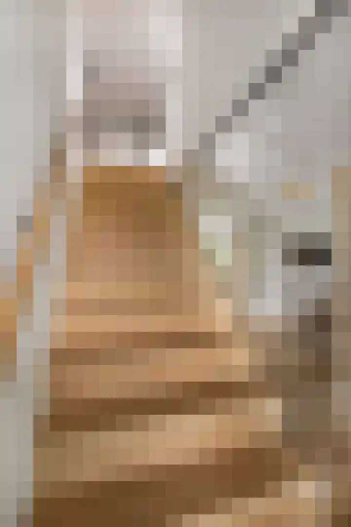 Grinsel 83 A Den Dungen thumbnail 24
