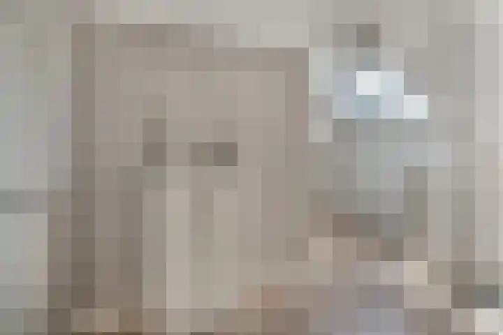 Grinsel 83 A Den Dungen thumbnail 25