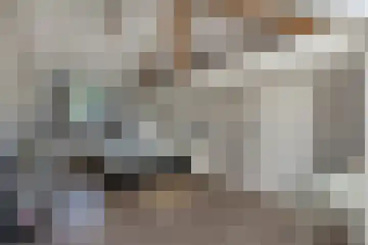 Grinsel 83 A Den Dungen thumbnail 26