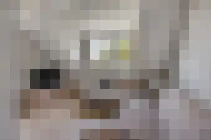 Grinsel 83 A Den Dungen thumbnail 27