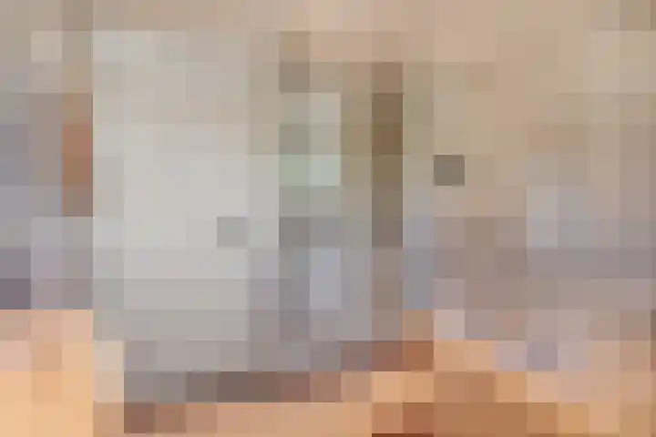 Grinsel 83 A Den Dungen thumbnail 28