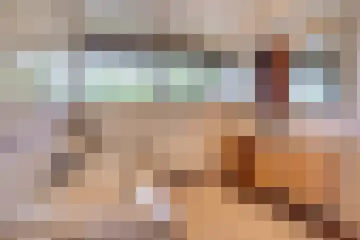 Grinsel 83 A Den Dungen thumbnail 29