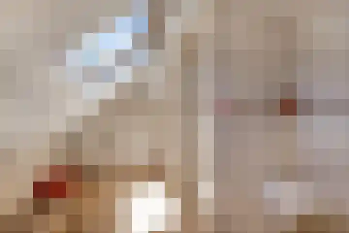 Grinsel 83 A Den Dungen thumbnail 31