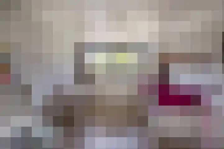 Grinsel 83 A Den Dungen thumbnail 32