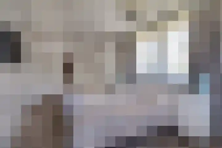 Grinsel 83 A Den Dungen thumbnail 34